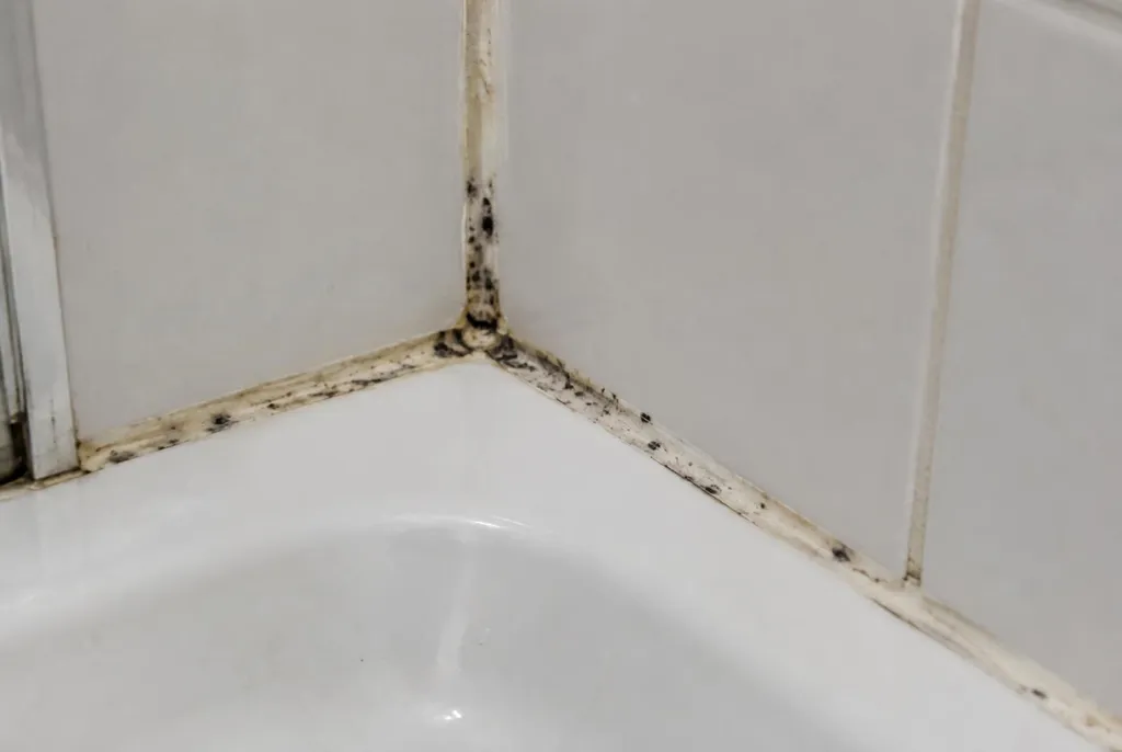 Kitbedrijf Oegstgeest – beschimmelde kitranden